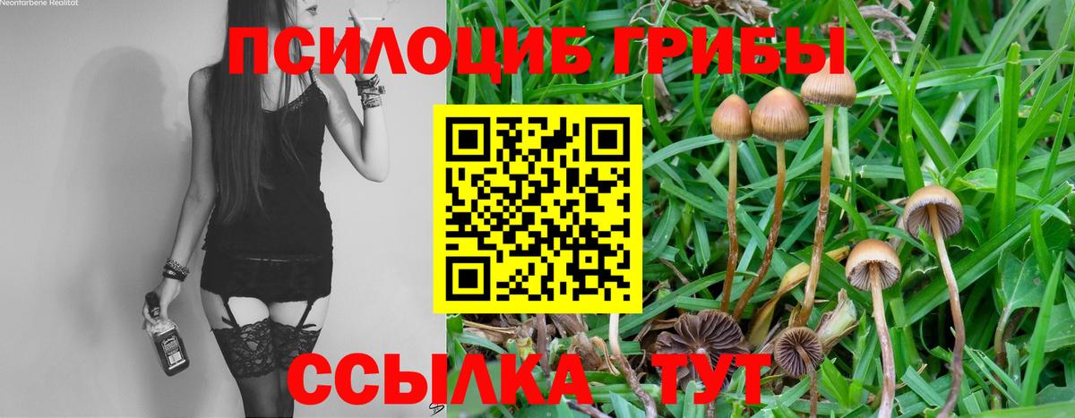 Галлюциногенные грибы Psilocybine cubensis  Галлюциногенные грибы мухоморы  Вход с VPN  Кубинка 