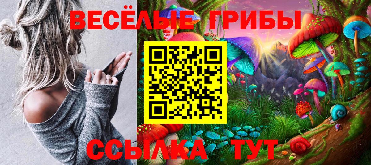 Псилоцибиновые грибы Psilocybine cubensis Кубинка